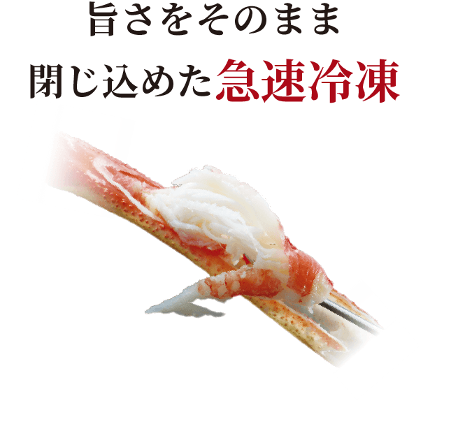 旨さをそのまま閉じ込めた急速冷凍