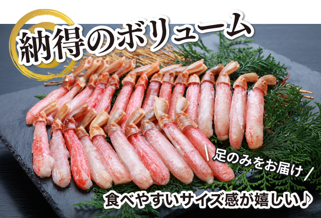 納得のボリューム感