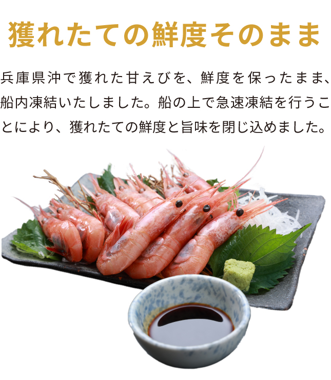 採れたての鮮度そのまま