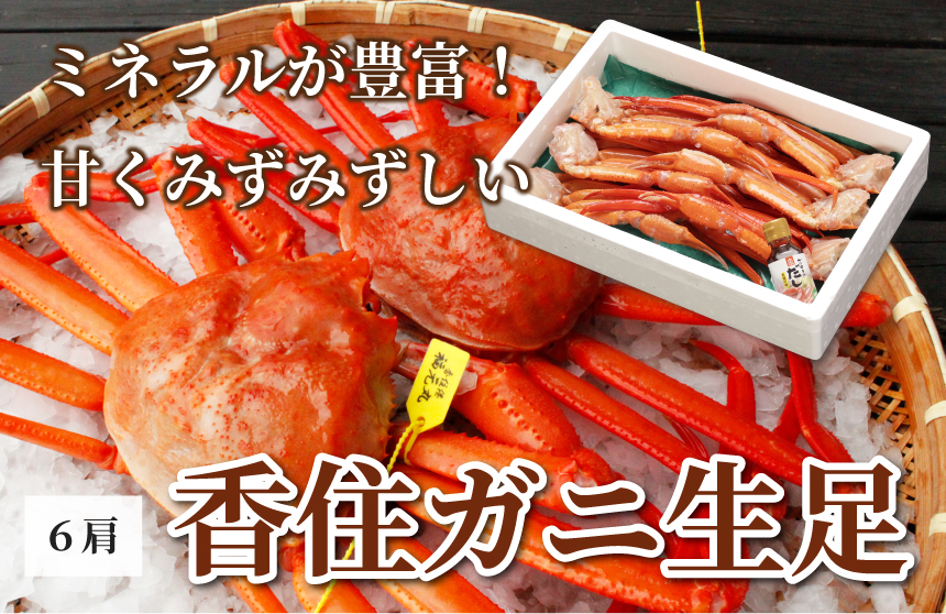 香住ガニ生足 ダシ付き